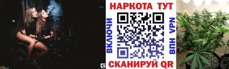 Наркошоп Кизляр Псилоцибиновые грибы Марихуана