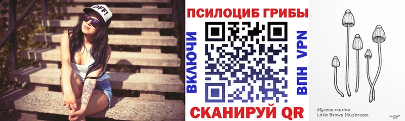 купить наркотик  Кизляр  Галлюциногенные грибы Cubensis 